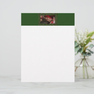 En-tête De Lettre SlipperyJoe sucres de canne mâle poitrine lollipop