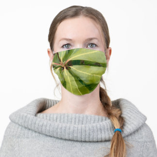 En Tissu Masque Terre