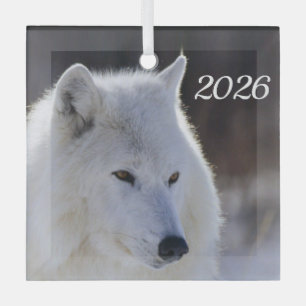 En Verre Ornement de loup arctique