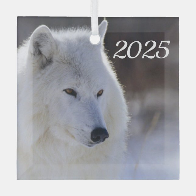 En Verre Ornement du loup arctique (Recto)