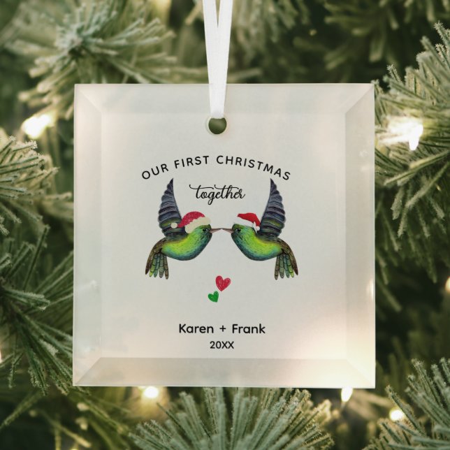 En Verre Premier Noël Ensemble Ornement - Inséparables (Insitu)