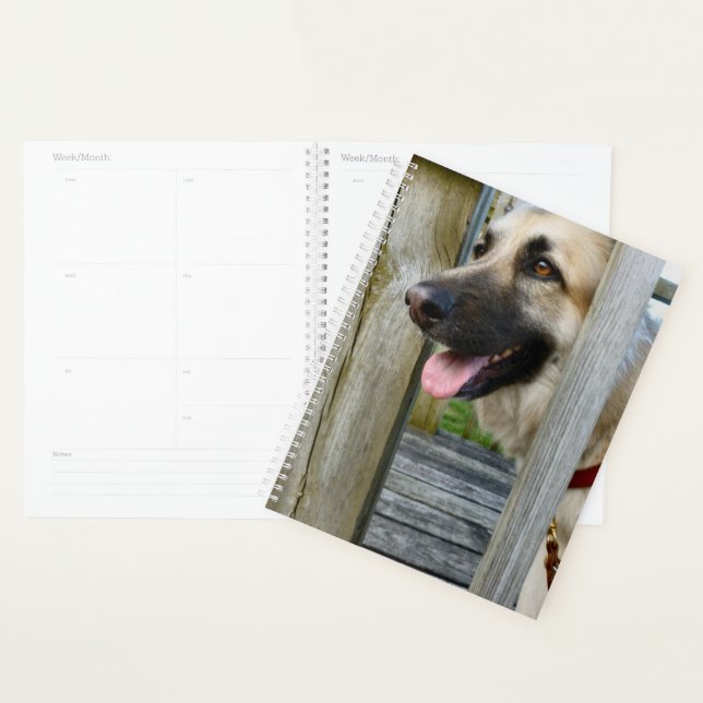 encadré (Devant avec enveloppe)