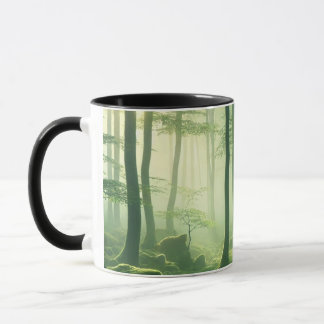 Enchanted Misty Forest Serene Green Woodland Scene Tasse