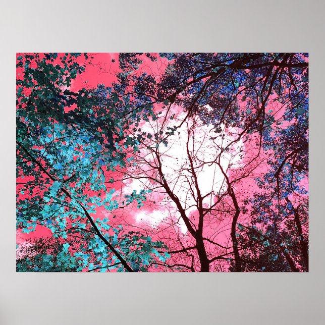 Enchanted   poster (Vorne)