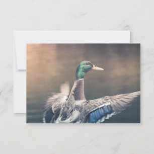 Enck Nature Foto Card