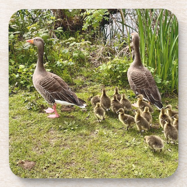 Enck's Leben.. Getränkeuntersetzer (Vorderseite)