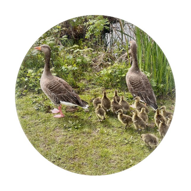 Enck's Leben.. Schneidebrett (Vorderseite)