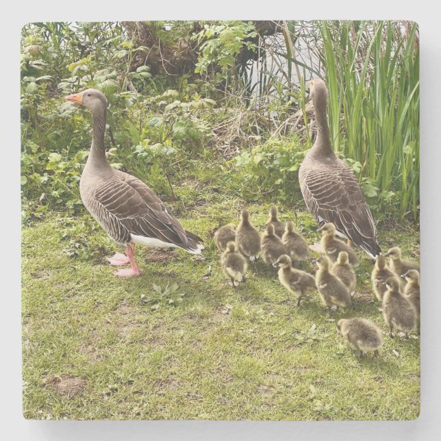 Enck's Leben.. Steinuntersetzer (Vorderseite)