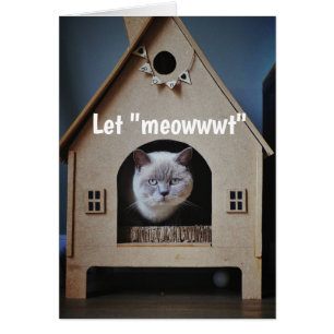 Encouragement/ Bien Se Faire Mignonner Chat En Reg