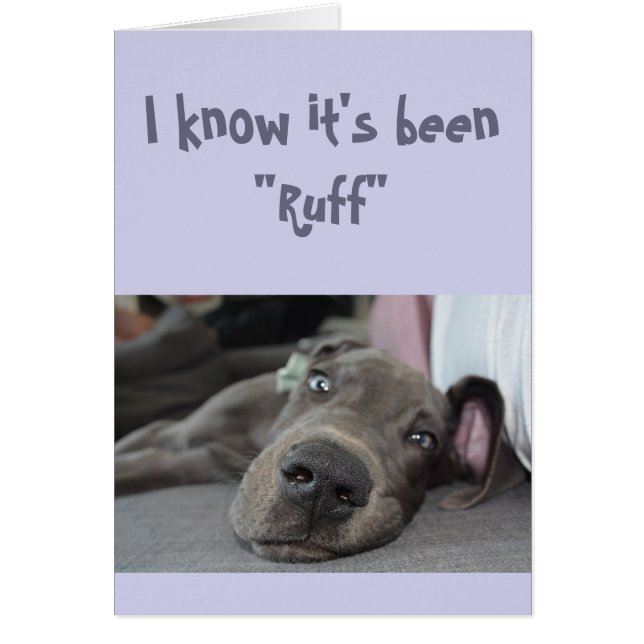 Encouragement/ Bien Se Faire Mignonner Grand Chien (Devant)