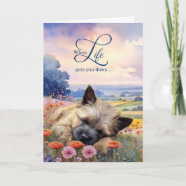Encouragement Cairn Terrier Dog Wildflower Meadow Karte