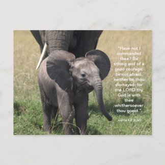 Encourager la carte postale Verse Bible