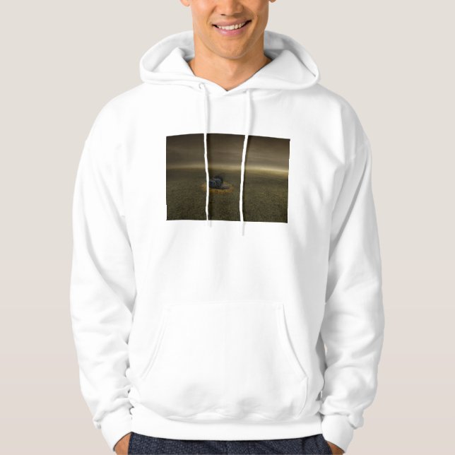 Ende eines Ziels 2013 Hoodie (Vorderseite)