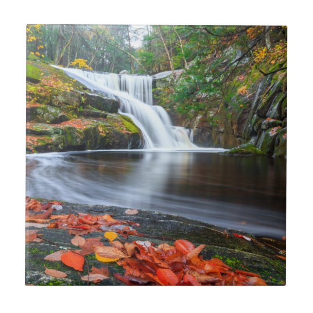 Enders Fälle in Fall Fliese (Vorderseite)