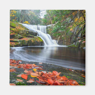 Enders Fälle in Fall Magnet