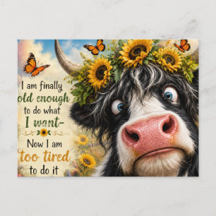 Endlich alt genug Kuh Postkarte