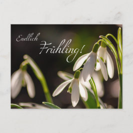 Endlich Frühling! Postkarte