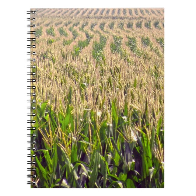 Endlose Reihen von Maisspiralen-Notebook Notizblock (Vorderseite)