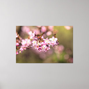 Endlose Schönheit der Kirschblüten Sakura Leinwanddruck