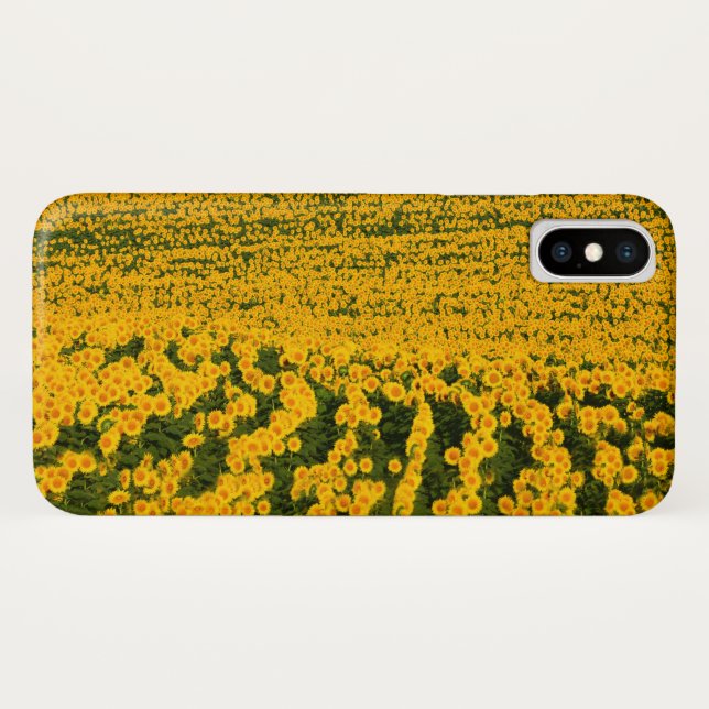 Endlose Sonnenblumen Case-Mate iPhone Hülle (Rückseite (Horizontal))