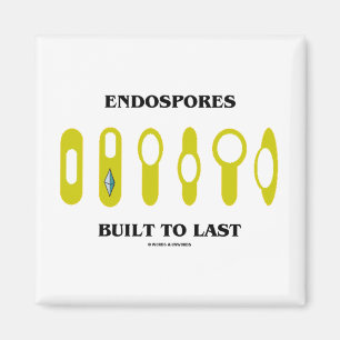 Endospores errichtete zum Letzten (bakterielle Magnet