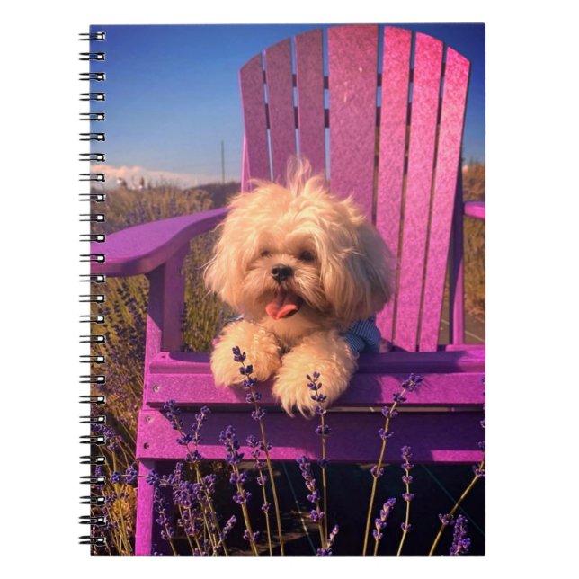 Energetic Toy Shih Tzu Puppy, Happy Dog Relaxing Notizblock (Vorderseite)