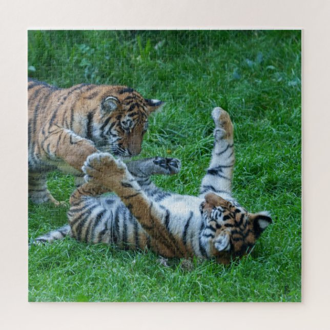 Energetische Tiger Cubs (Vertikal)