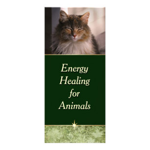 Energie, die für Tiere heilt Werbekarte