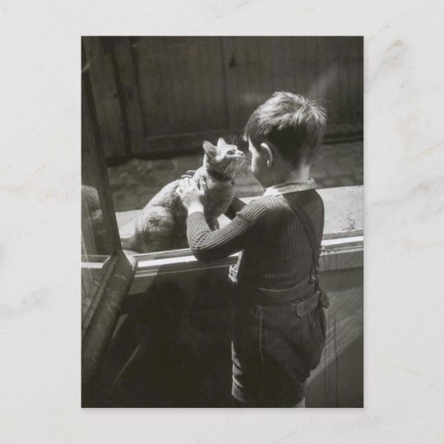 Enfant et son Chat - Willy Ronis Postkarte (Vorderseite)