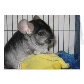 Enfin Home Card, Wubzy et sa poupée Wubzy