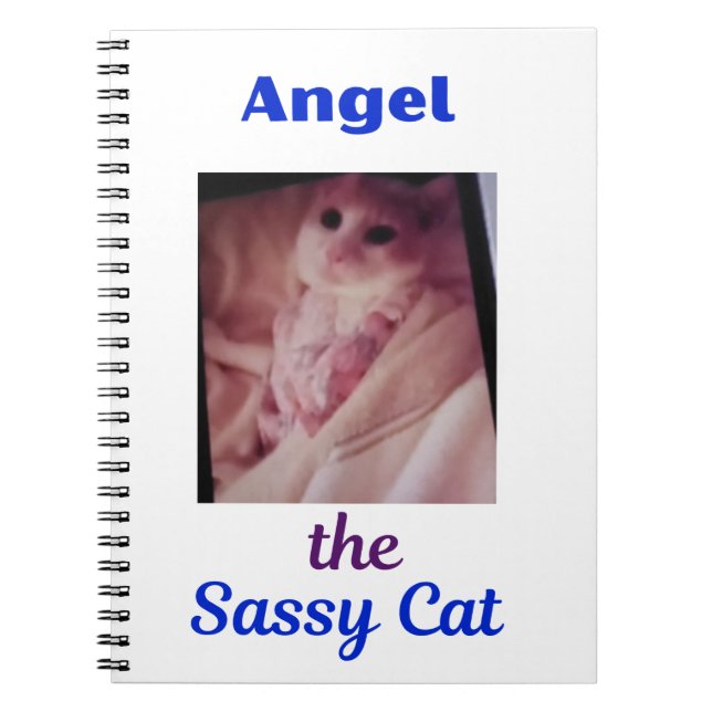 Engel die freche Katzenpfote Katzen Notizbuch Notizblock (Vorderseite)