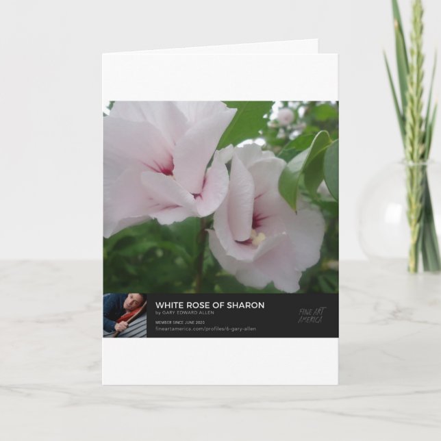 Engel Karte (Vorderseite)