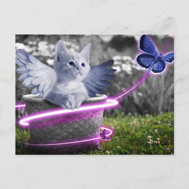 Engel Katze Postkarte (Vorderseite)