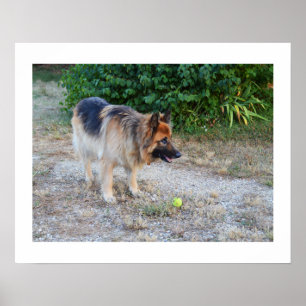 Engel und Ball Poster