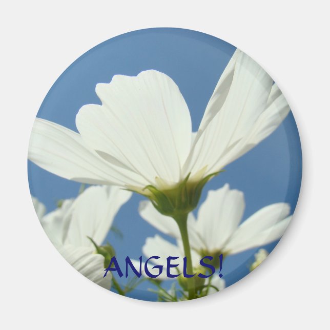 Engel! White Daisy Blume Wings Magnet Daisies (Vorne)