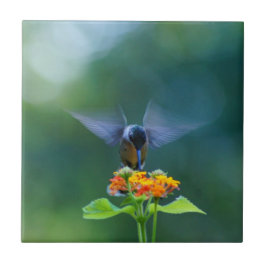 Engel Wings Kolibri Fliese