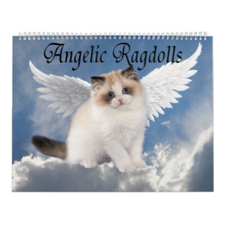 Engelhaft Ragdoll Katzen Kalender