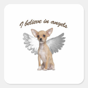 Engels-Chihuahua Quadratischer Aufkleber