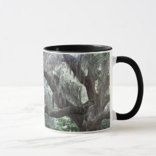 Engels-Eiche von Johns-Insel Tasse