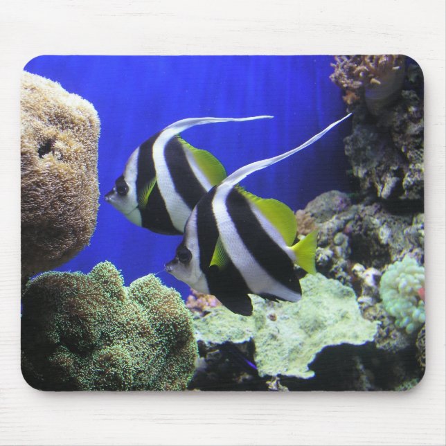 Engels-Fische Mousepad (Vorne)