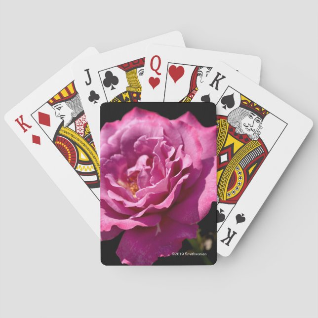 Engels-Gesichts-Rose Oben-Nah Spielkarten (Rückseite)