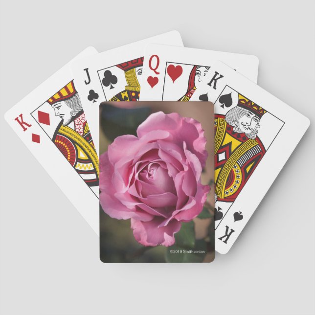 Engels-Gesichts-Rose Spielkarten (Rückseite)