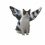 Engels-Katze Fotoskulptur Schlüsselanhänger<br><div class="desc">Tragen Sie Beweis der Engel,  die zu uns mit dieser Engels-Miezekatzeschlüsselkette gehören. Sicher glaubt jemand Ihnen!</div>