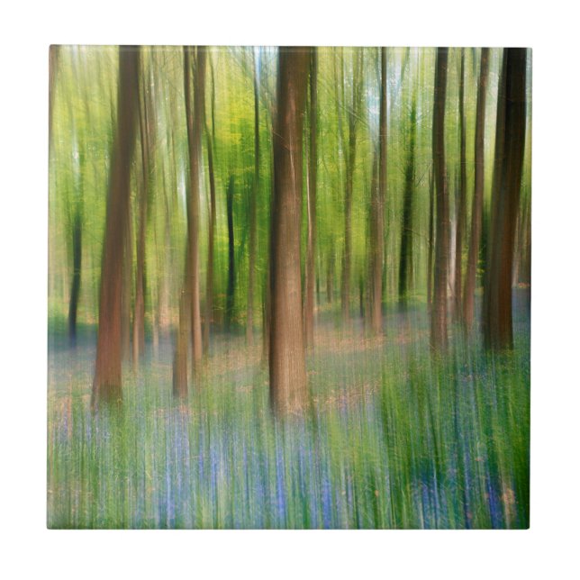 England| Bluebell Eichenwald im Springtime Fliese (Vorderseite)