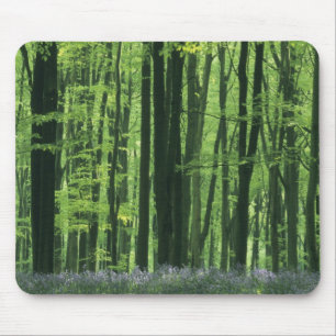 England, Buchenwald & Blaue Glockenblumen Mousepad