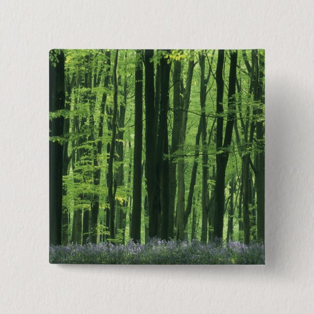 England, Buchenwald und Bluebells Button (Vorderseite)