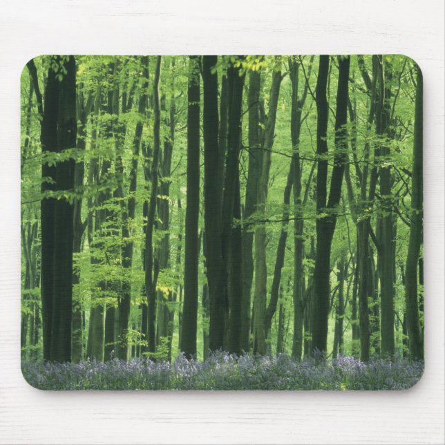 England, Buchenwald und Bluebells Mousepad (Vorne)