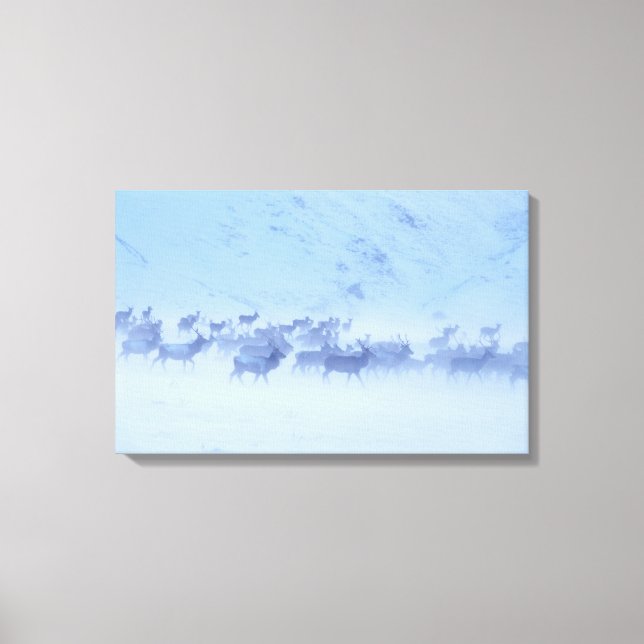 England Leinwanddruck (Vorderseite)