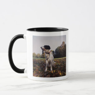 England, St Albans Tasse