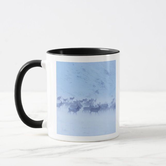 England Tasse (Links)